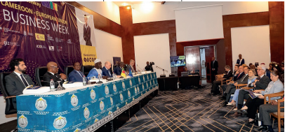 Cameroun and european investors